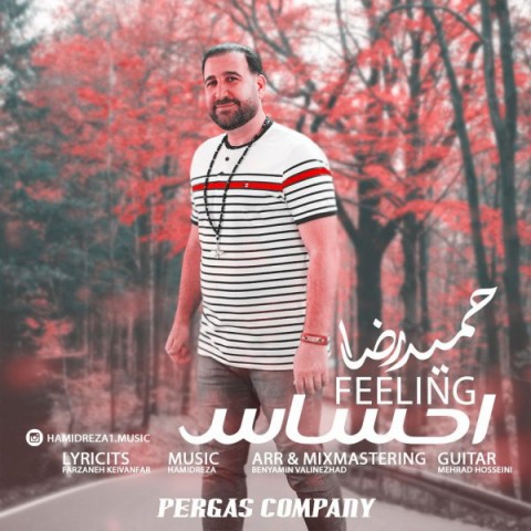 حمیدرضا  احساس